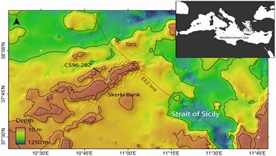 Skerki Bank (Strait of Sicily) is a hotspot of molluscan biodiversity: multiple new records for Tunisian waters and description of three new species